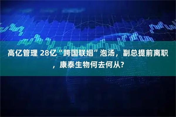 高亿管理 28亿“跨国联姻”泡汤，副总提前离职，康泰生物何去何从?